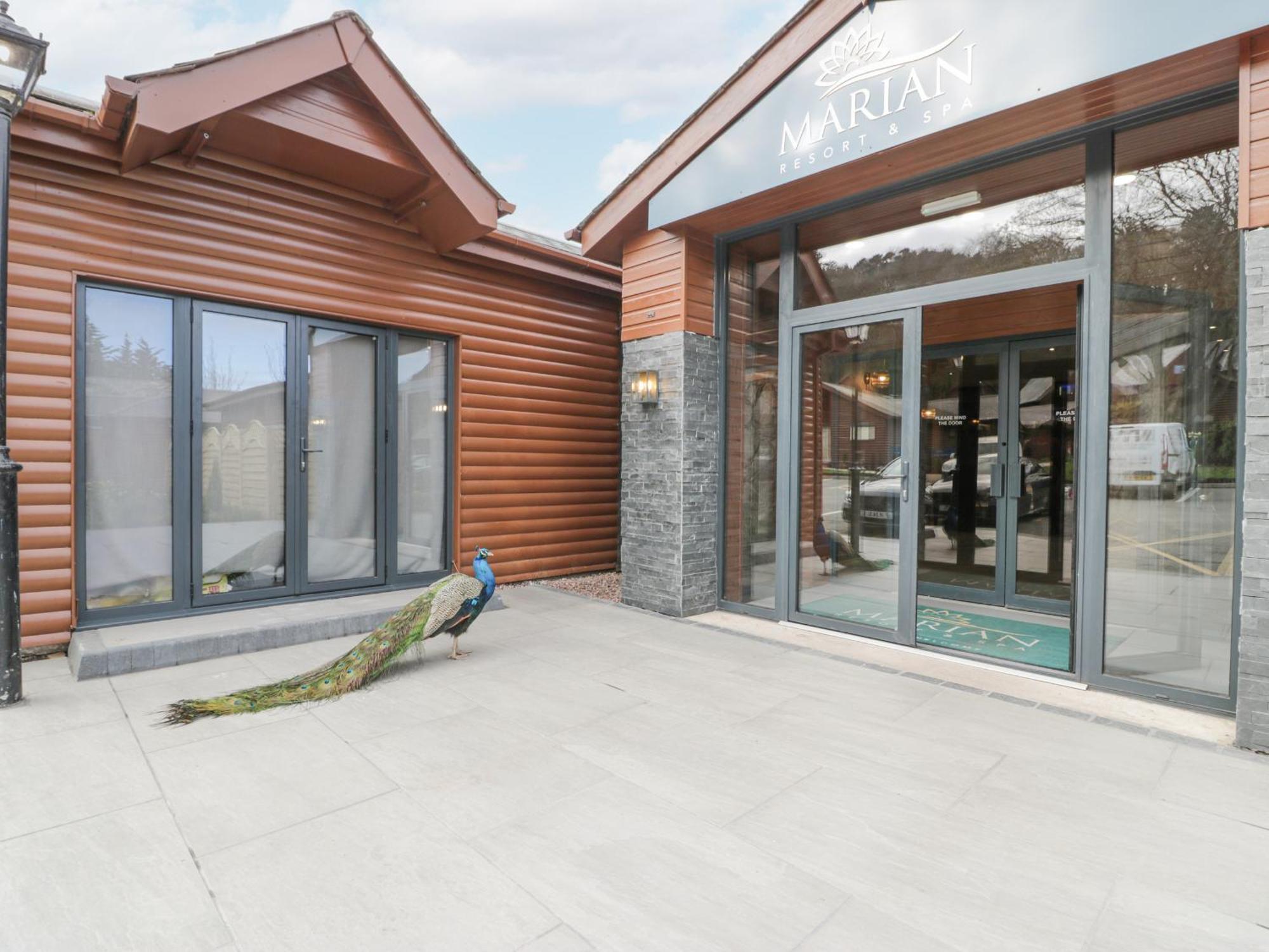 Luxury Lodge 62 Rhyl Exterior photo